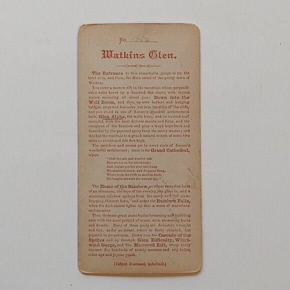 Stereoview North Carolina Railway Scenery from Niagara to Watkins Glen New York - Picture 5 of 7